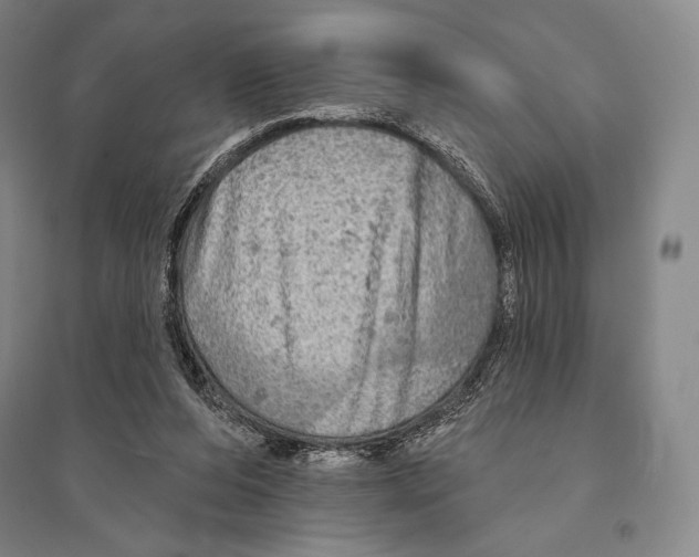 X0000095510208200801111420