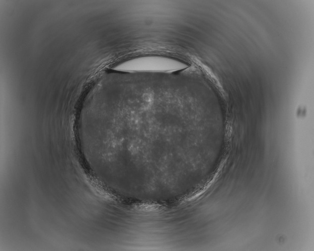 X0000095510209200801111420
