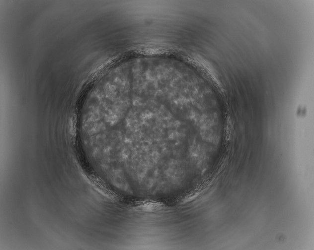 X0000095510210200801111420