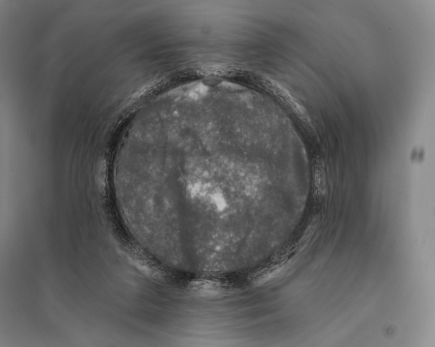 X0000095510211200801111420