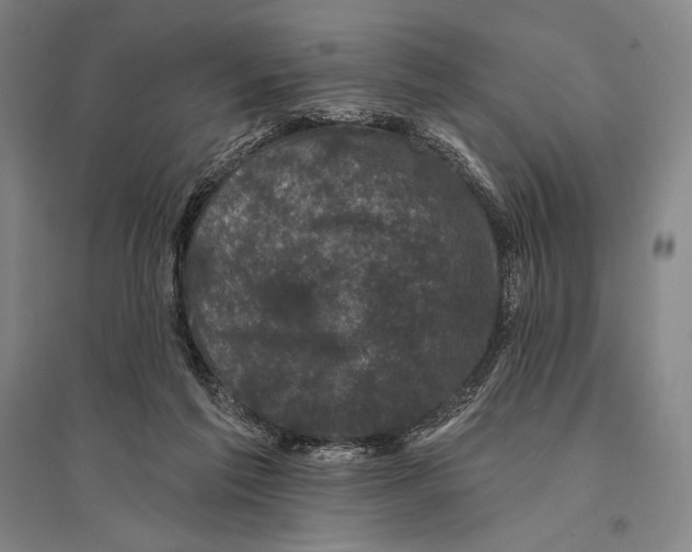 X0000095510213200801111420