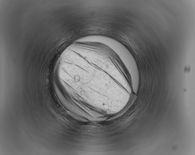 X0000095510215200801111420