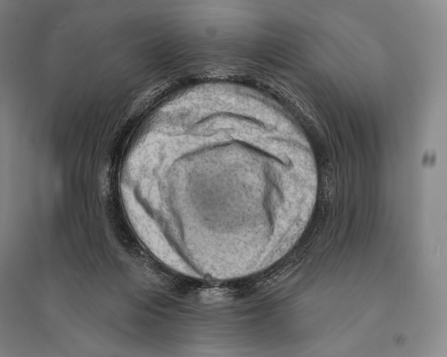 X0000095510216200801111420
