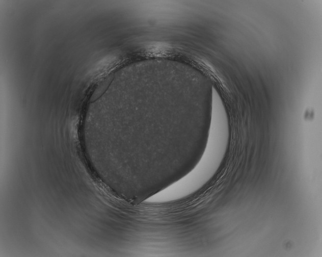 X0000095510217200801111420
