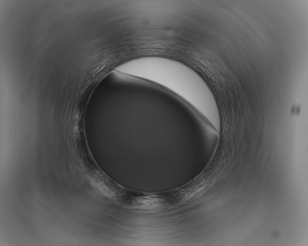 X0000095510219200801111420