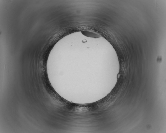 X0000095510220200801111420