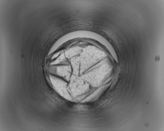 X0000095510221200801111420