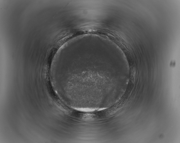 X0000095510222200801111420