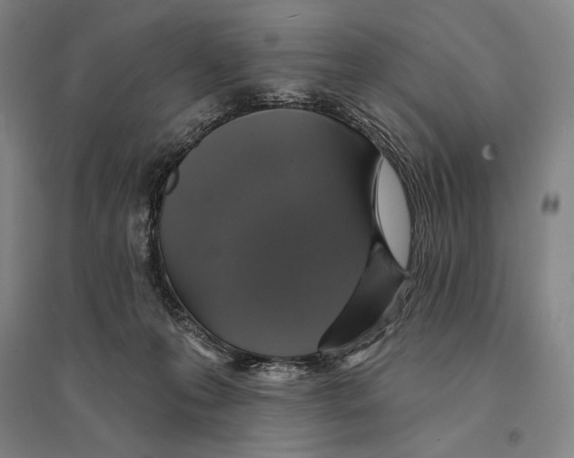 X0000095510223200801111420