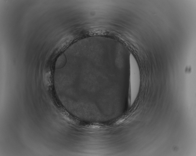X0000095510224200801111420