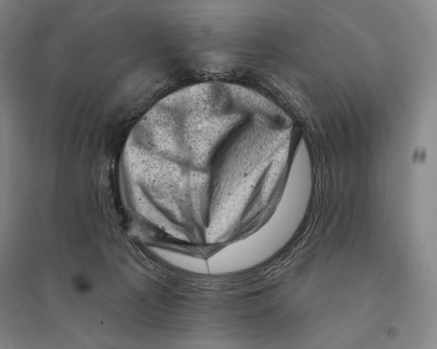 X0000095510225200801111420
