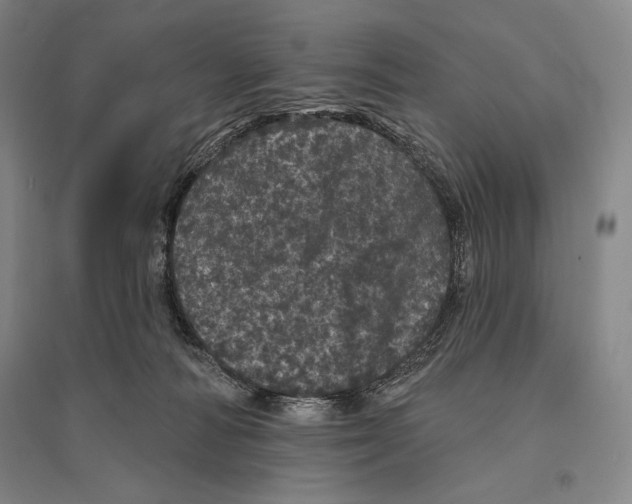 X0000095510226200801111420