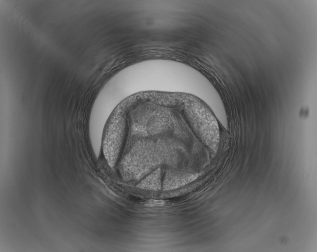 X0000095510227200801111420