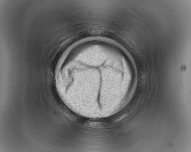 X0000095510228200801111420
