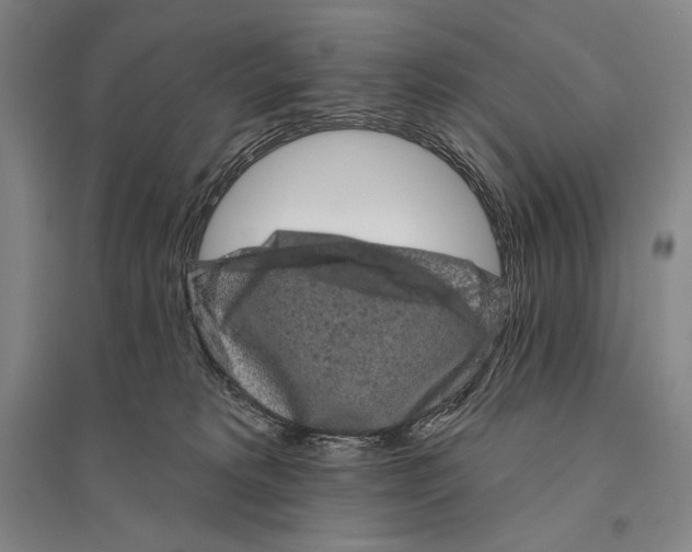 X0000095510229200801111420