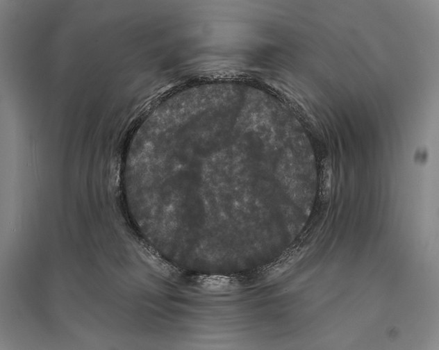 X0000095510230200801111420