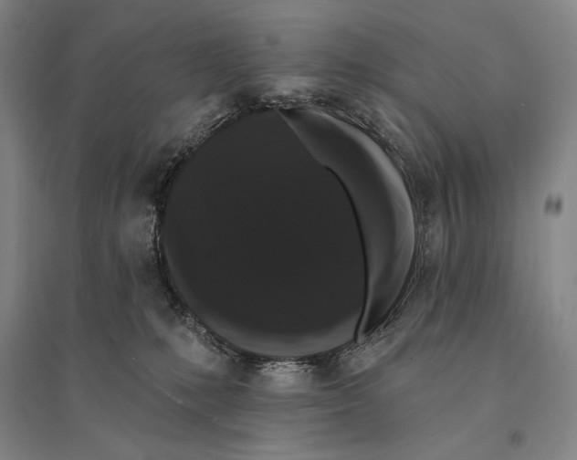 X0000095510231200801111420