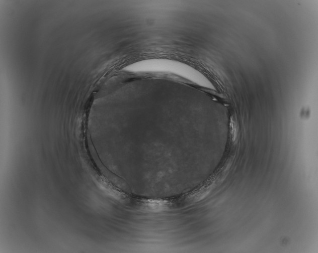 X0000095510233200801111420