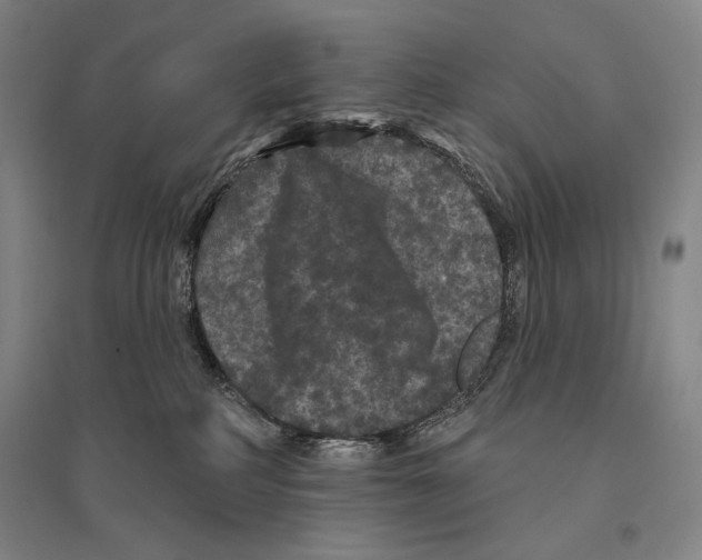 X0000095510234200801111420