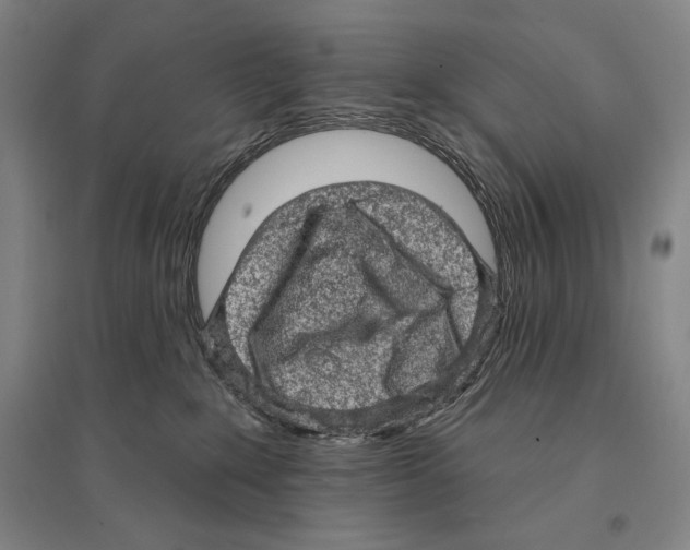 X0000095510235200801111420