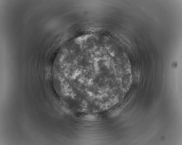 X0000095510236200801111420