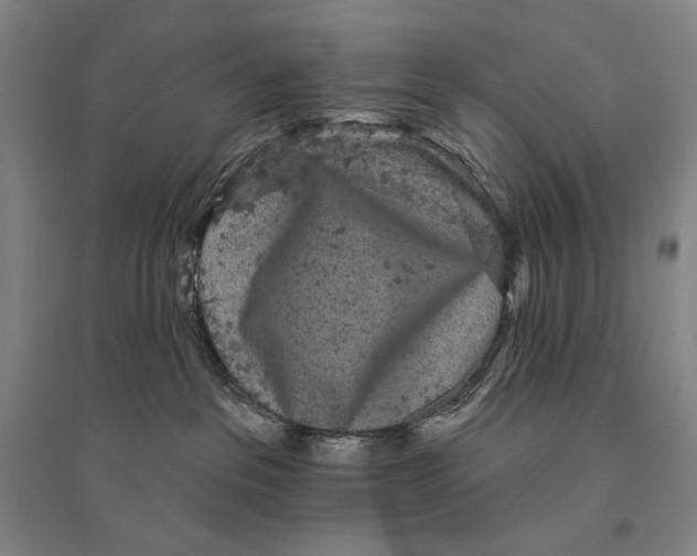 X0000095510237200801111420