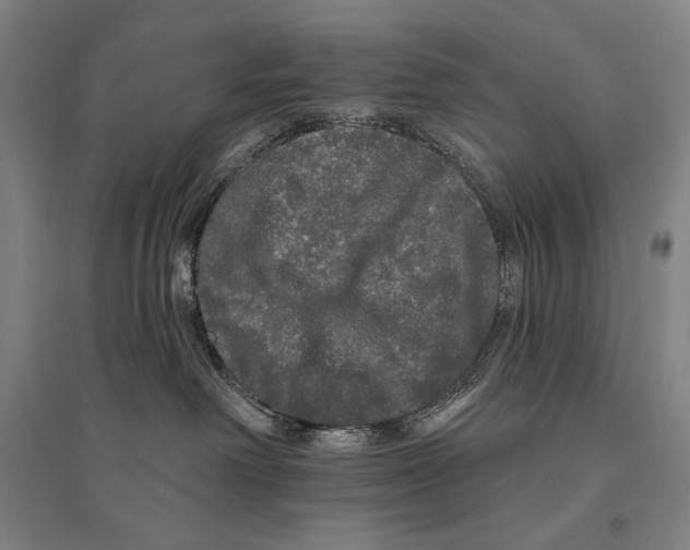 X0000095510238200801111420