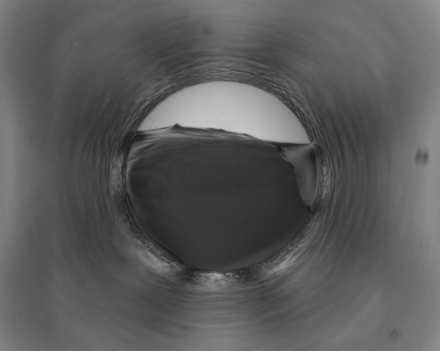 X0000095510239200801111420