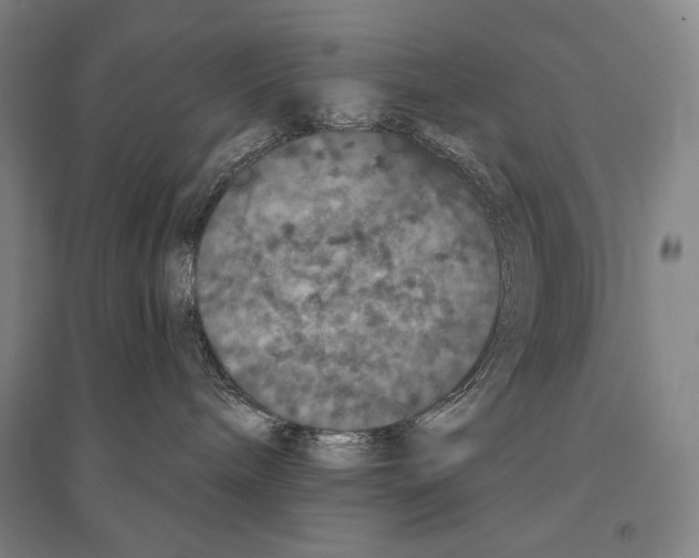 X0000095510240200801111420