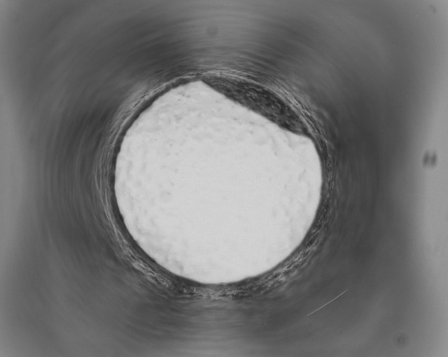 X0000095510241200801111419