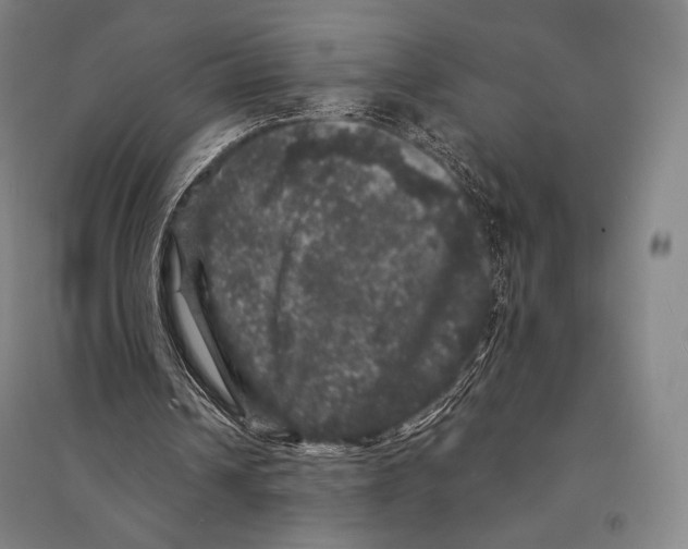 X0000095510242200801111419