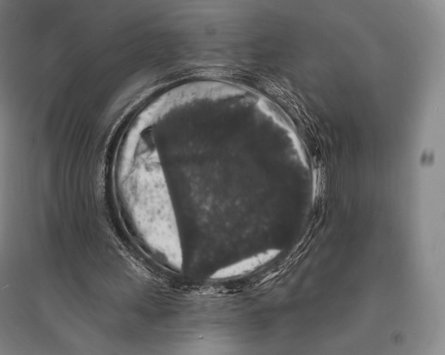 X0000095510243200801111419
