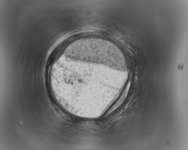 X0000095510244200801111419