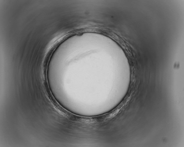 X0000095510245200801111419