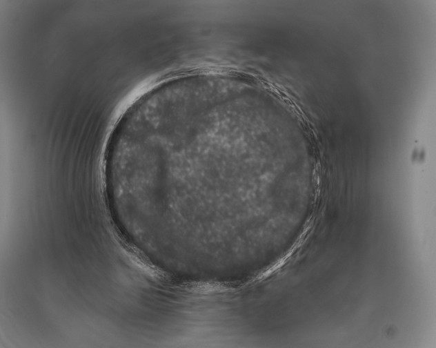 X0000095510246200801111419