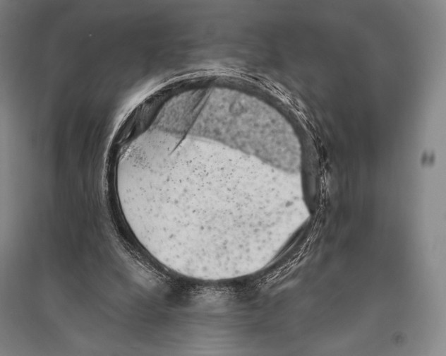 X0000095510248200801111419
