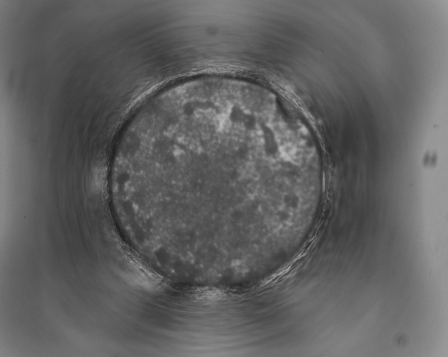 X0000095510249200801111419