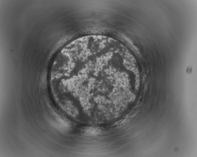 X0000095510250200801111419
