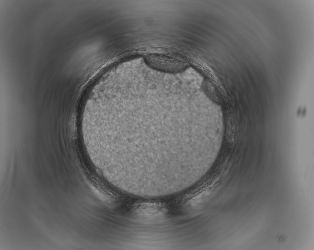 X0000095510251200801111419