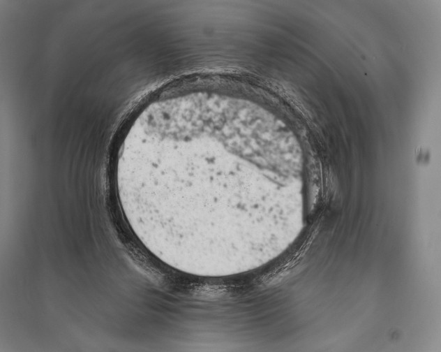X0000095510252200801111419