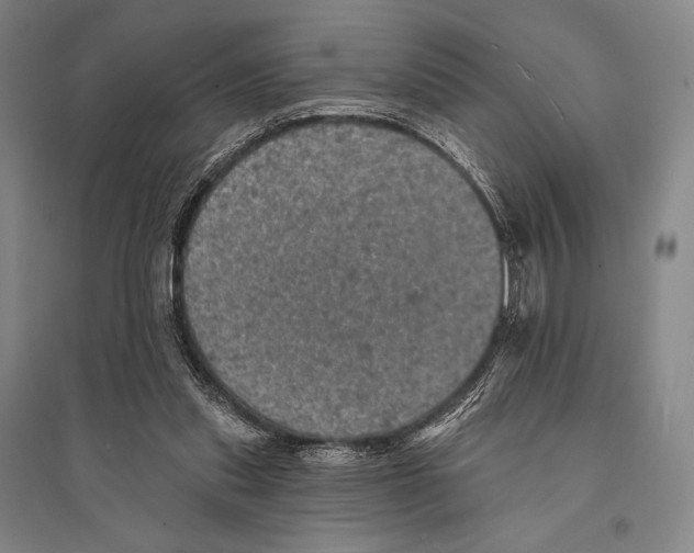 X0000095510253200801111419
