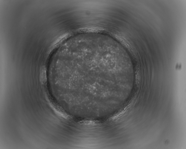 X0000095510254200801111419