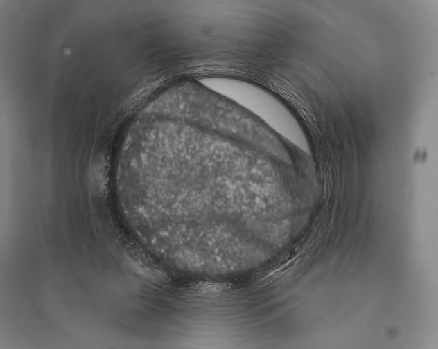 X0000095510255200801111419