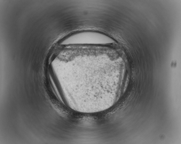 X0000095510256200801111419