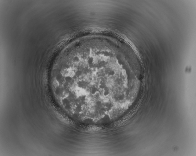 X0000095510257200801111419