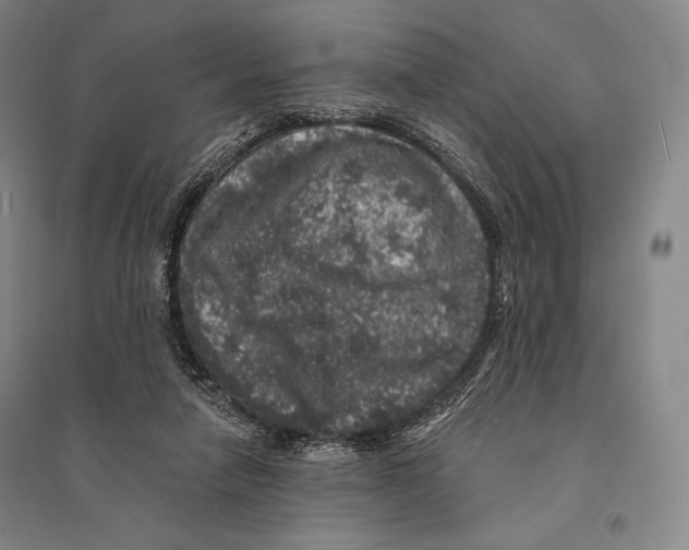 X0000095510258200801111419