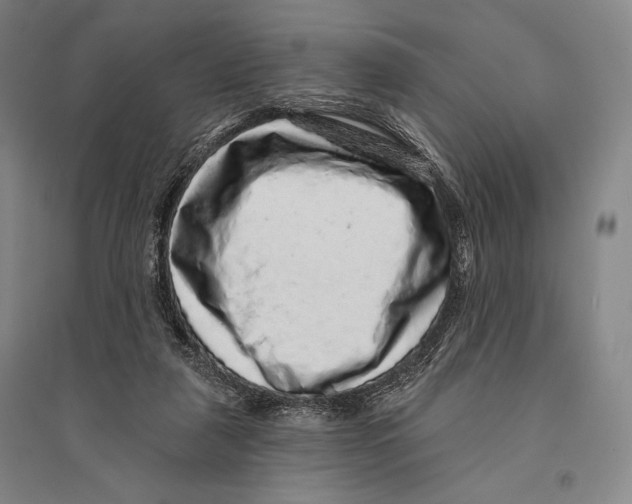 X0000095510259200801111419