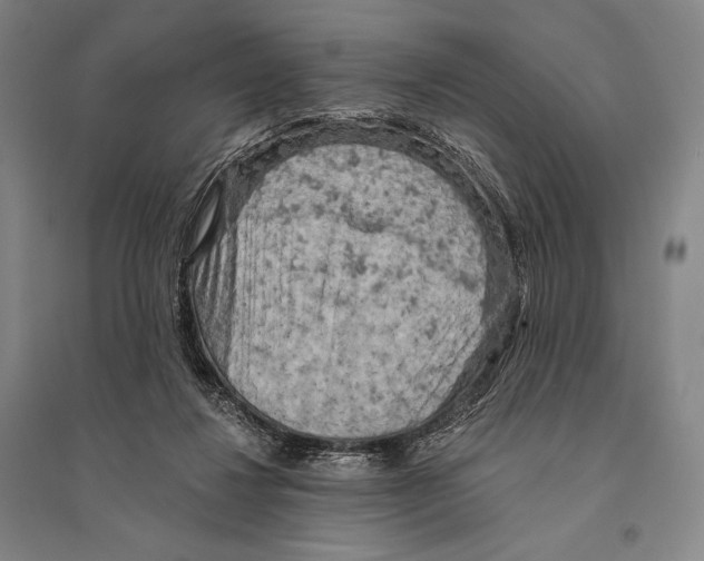 X0000095510260200801111419