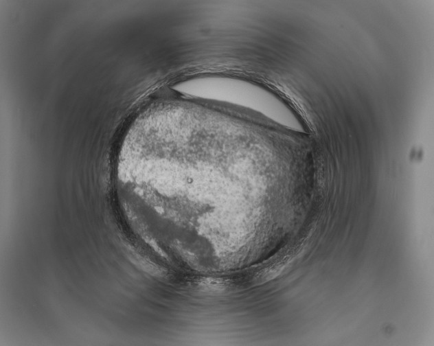 X0000095510261200801111419