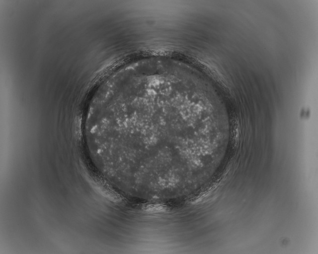 X0000095510262200801111419